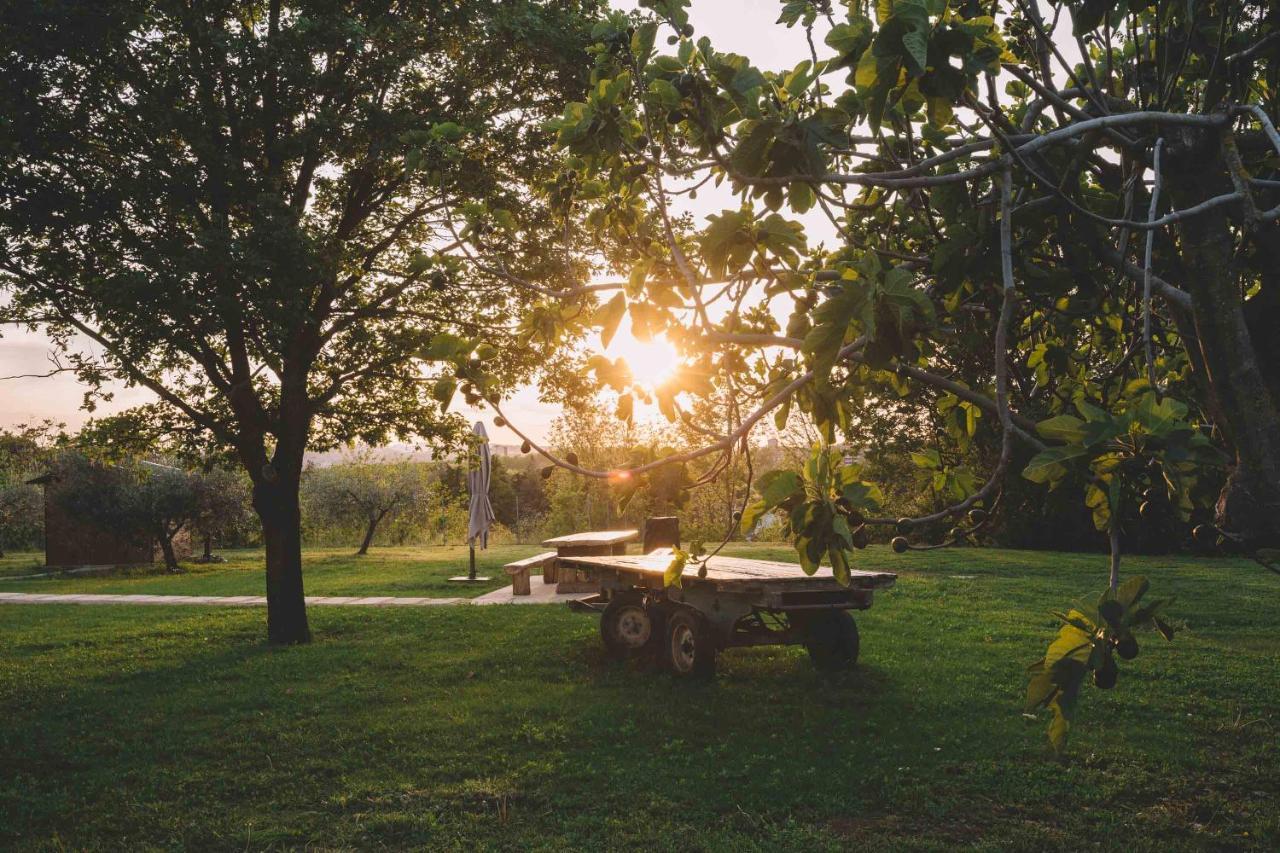 Podere Selvatici Imola Bagian luar foto